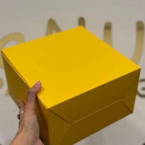 PLAIN CAKE BOX - YELLOW (10/10/5")