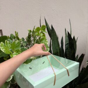 HAMPER BOX WITH TRANSPARENT LID – GREEN (11/8/3″) – PACK OF 20 PCS